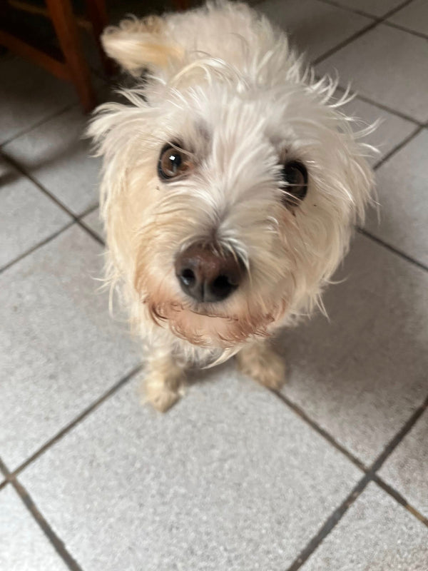 Foto de reseña de Carmen Vega