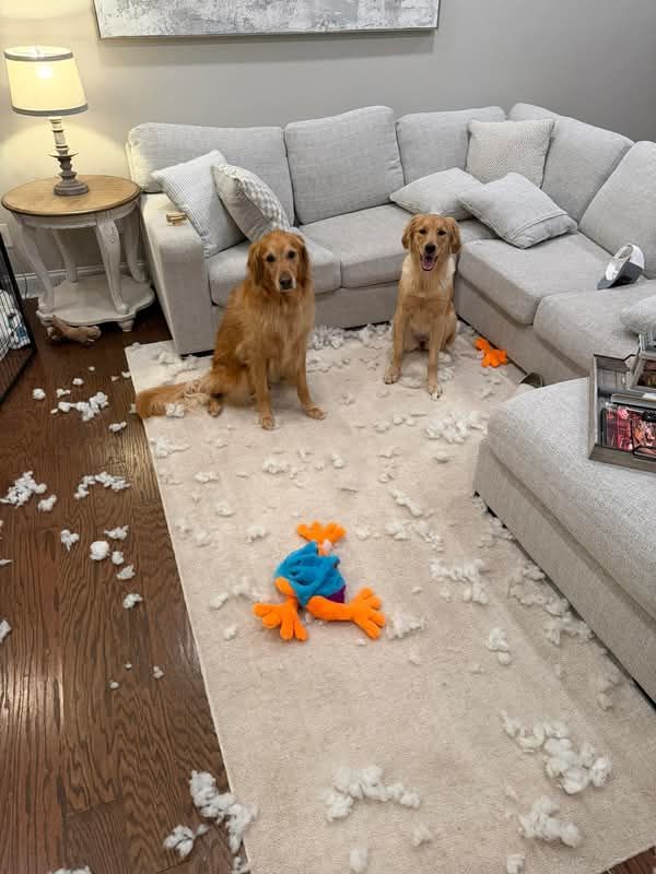 Foto de reseña de Diego Torres