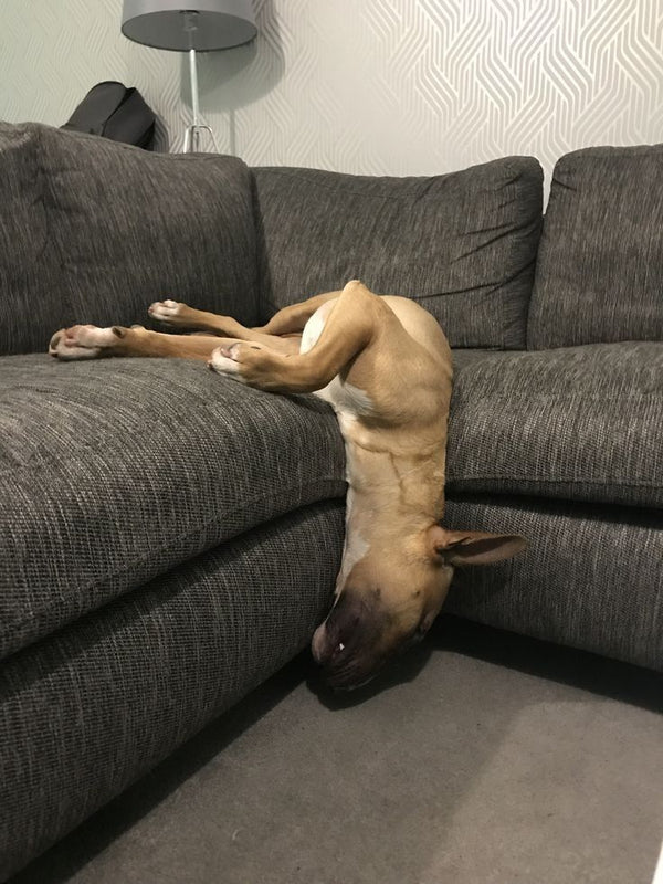 Foto de reseña de Daniel Leon.